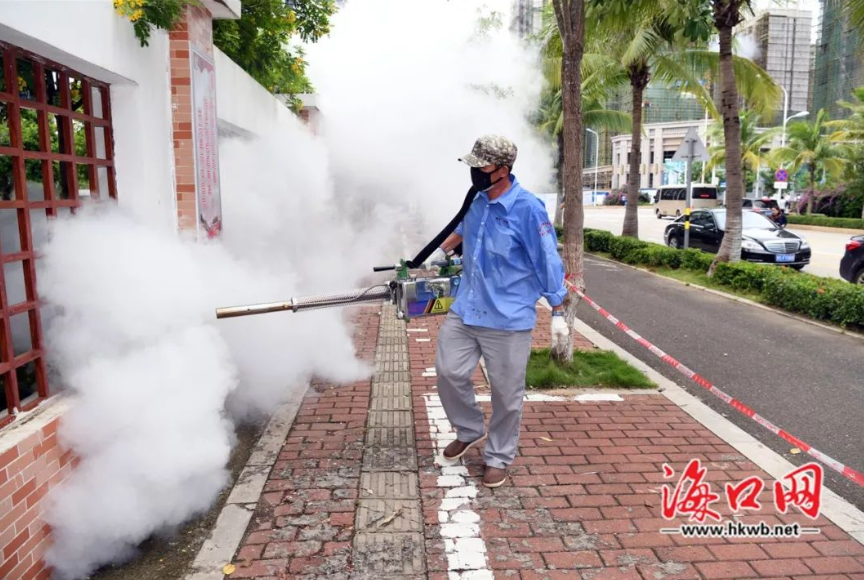 dengue.png